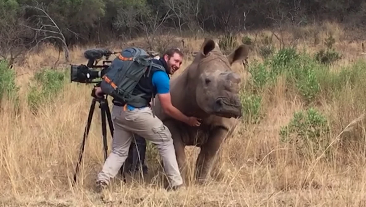 Watch Filming Up Close And Personal With A Rhino! on YouTube.