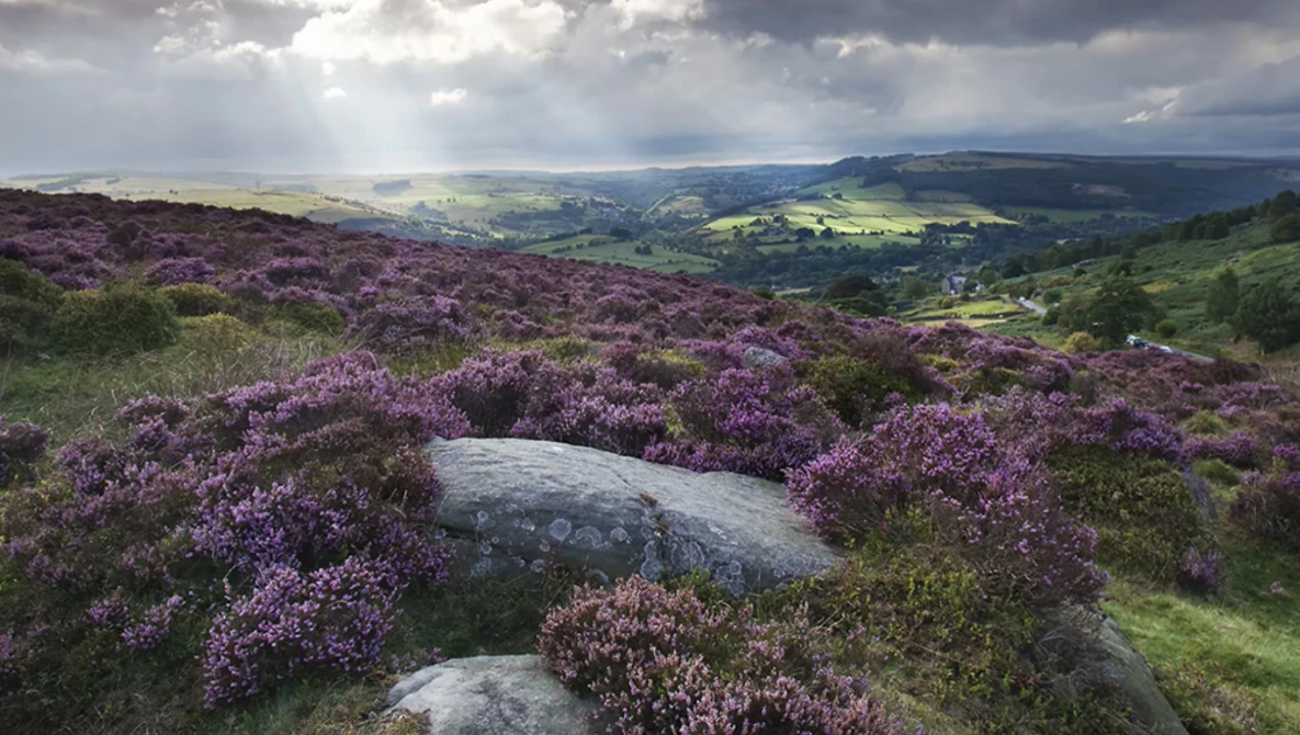 Watch Landscape Photography - Do's and Don'ts on YouTube.