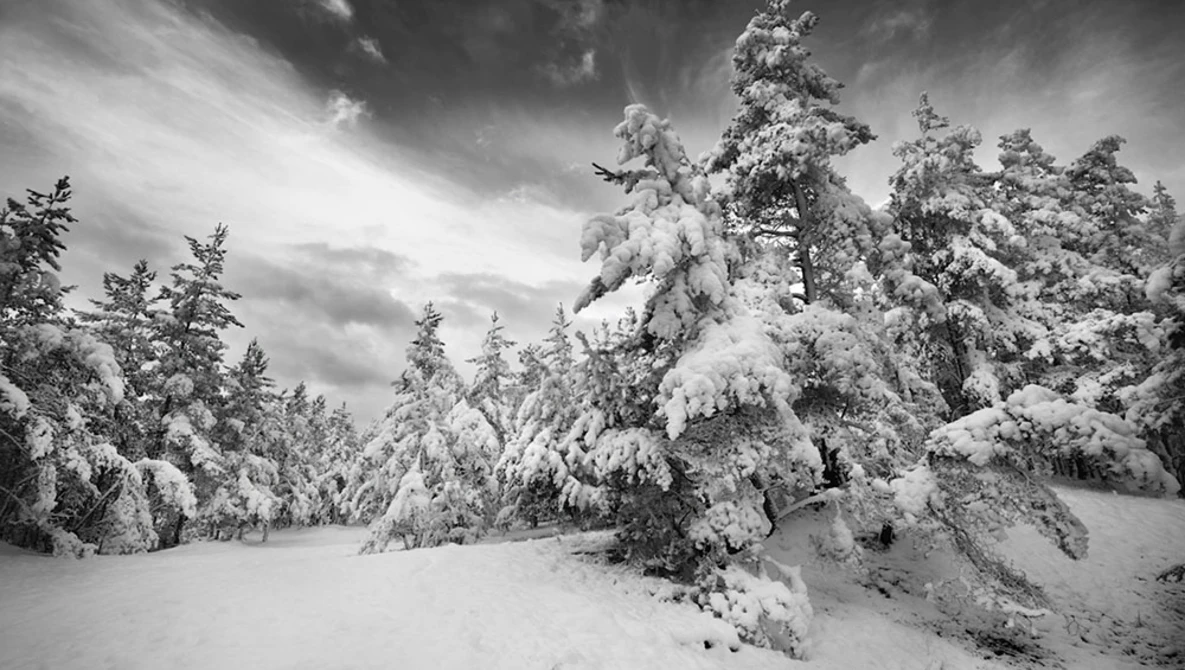 Watch 3 Great Ways to Create Black and White Photos in Lightroom on YouTube.