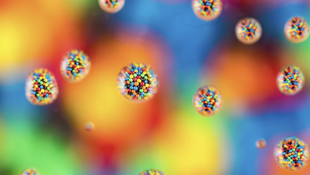 Watch 10 photography tricks to do at home on YouTube.