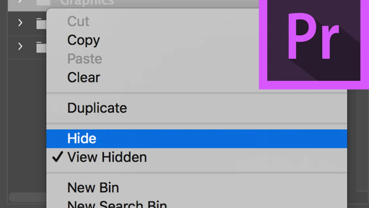 Watch Hide Files | Adobe Premiere Pro CC 2017 on YouTube.