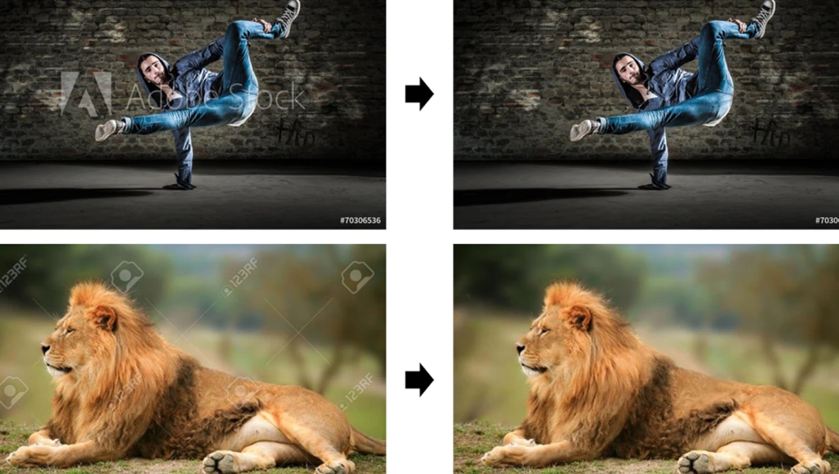 Watch On the Effectiveness of Visible Watermarks on YouTube.