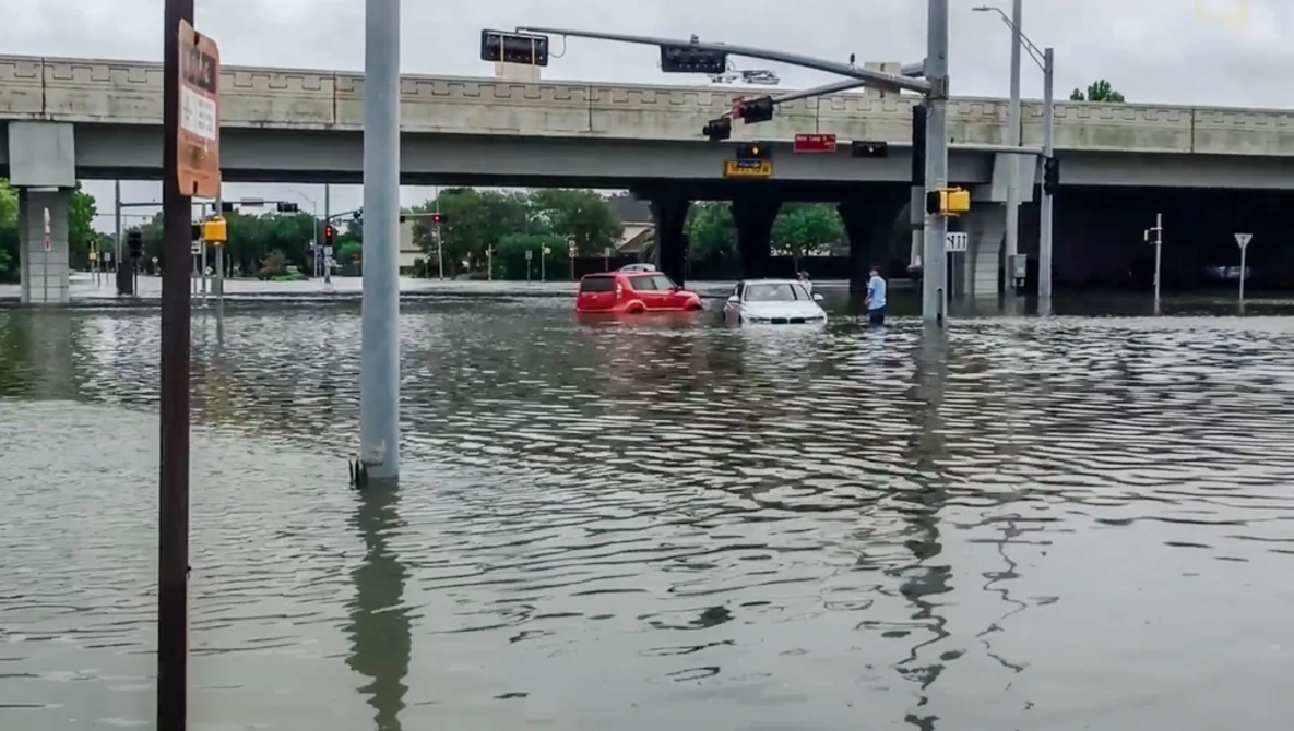Watch Watch Photographer Evacuate Mom and Dogs From Harvey's Devastating Flooding | National Geographic on YouTube.