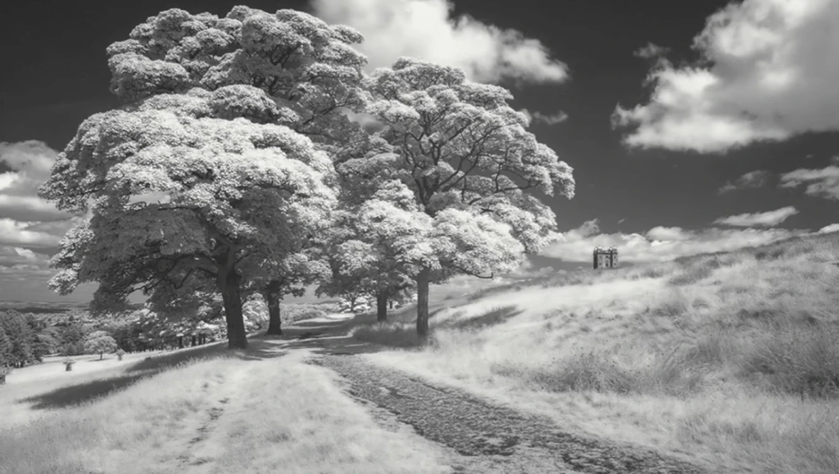 Watch The Easy Guide to Infrared Photography on YouTube.