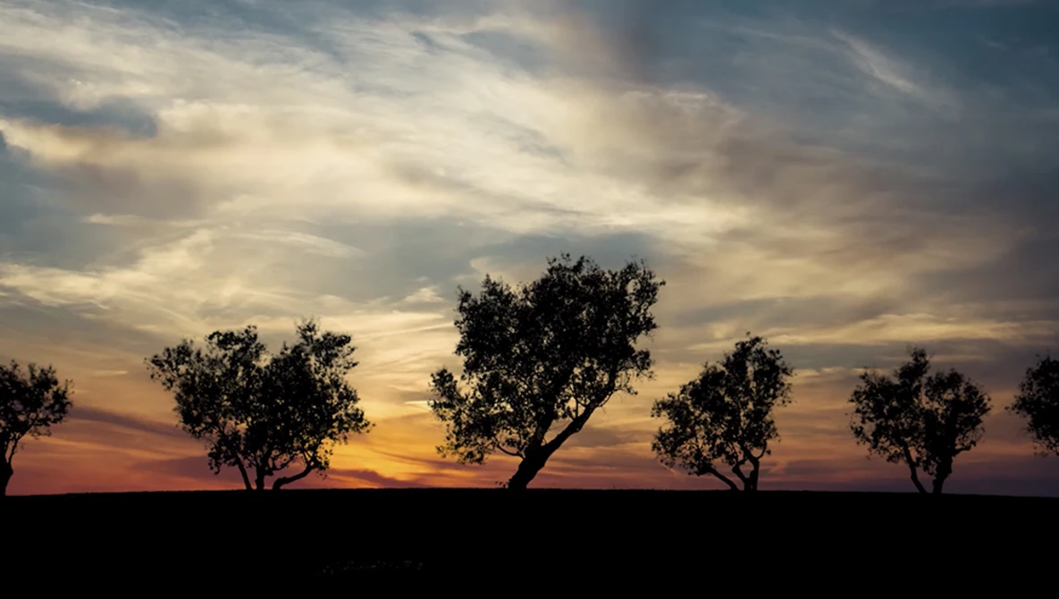 Watch Making Insanely Difficult Selections Like Trees Using Alpha Channel in Photoshop on YouTube.