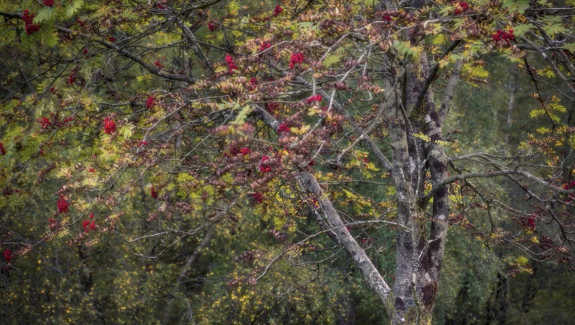 Watch A Stolen Hour for Landscape Photography on YouTube.