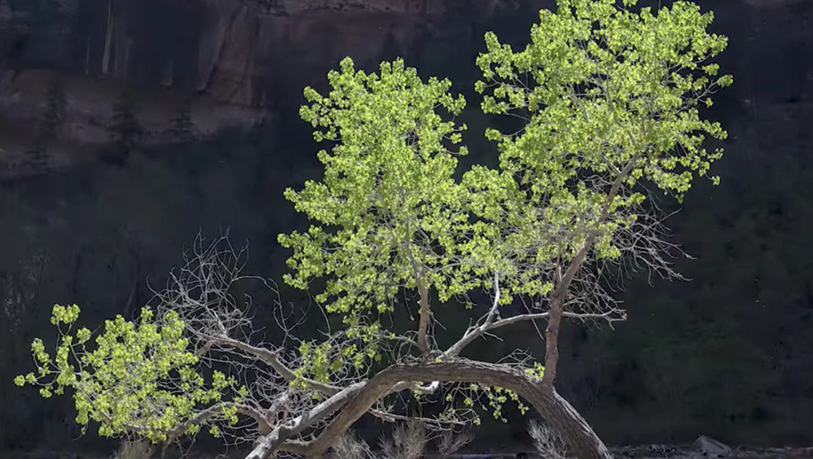 Watch 7 PHOTO IDEAS to instantly IMPROVE your AUTUMN photography on YouTube.