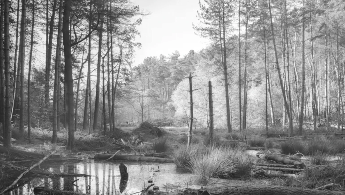 Watch Landscape Film photography - 4x5 is a Waiting Game on YouTube.
