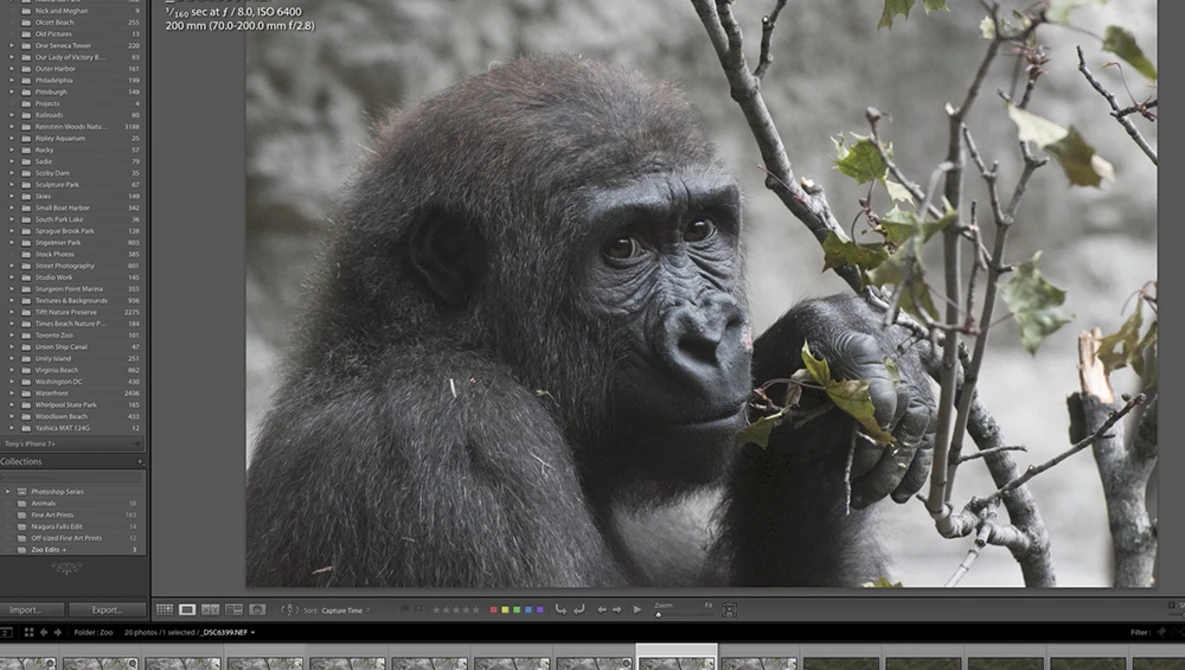 Watch Lightroom Quick Tips - Episode 132: Importing Images on YouTube.