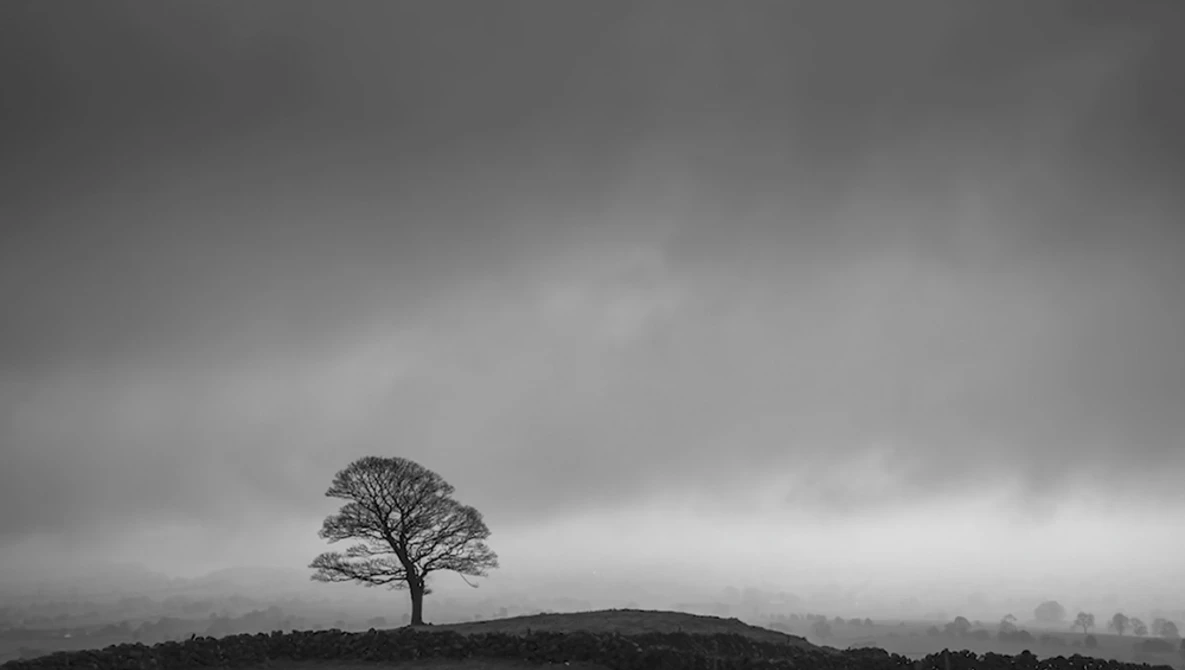 Watch Creating Mood in Landscape Photography | LIGHTROOM tutorial for dramatic B&W photos on YouTube.