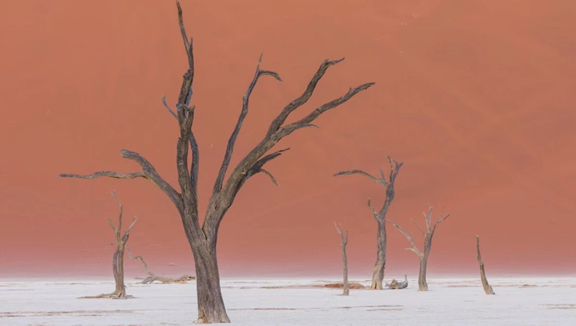 Watch Image Editing & The Truth About Deadvlei on YouTube.