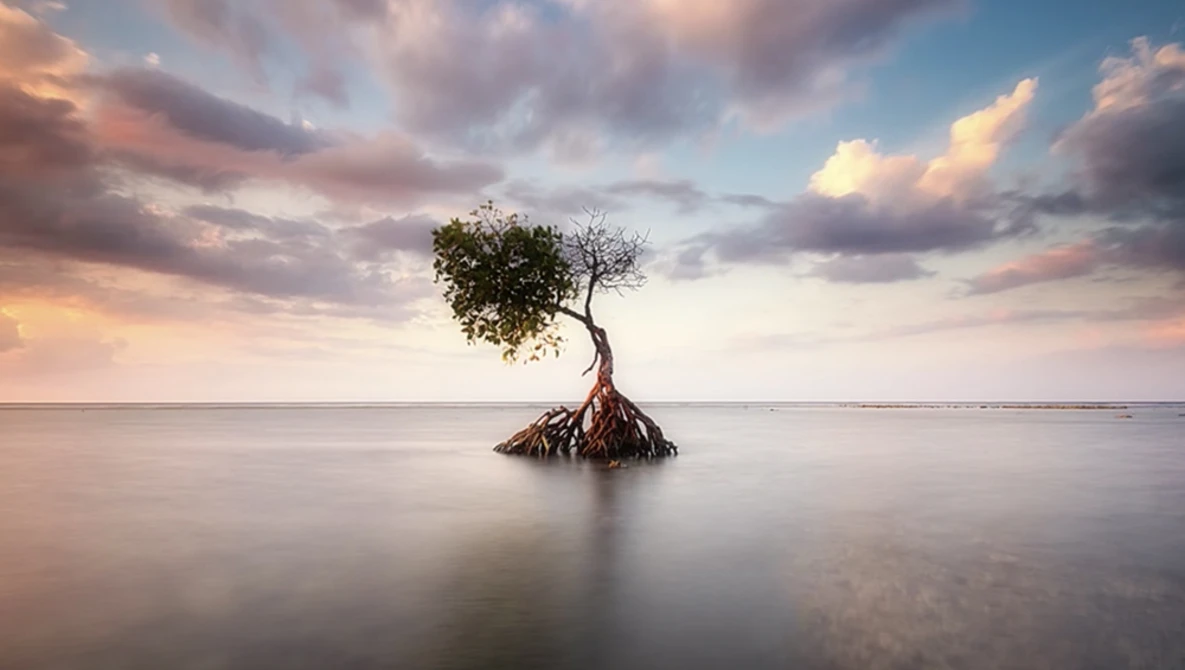 Watch 6 Tips For Landscape Photography Composition on YouTube.