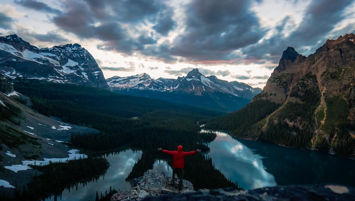 Watch ALIVE | Canada 4K on Vimeo.