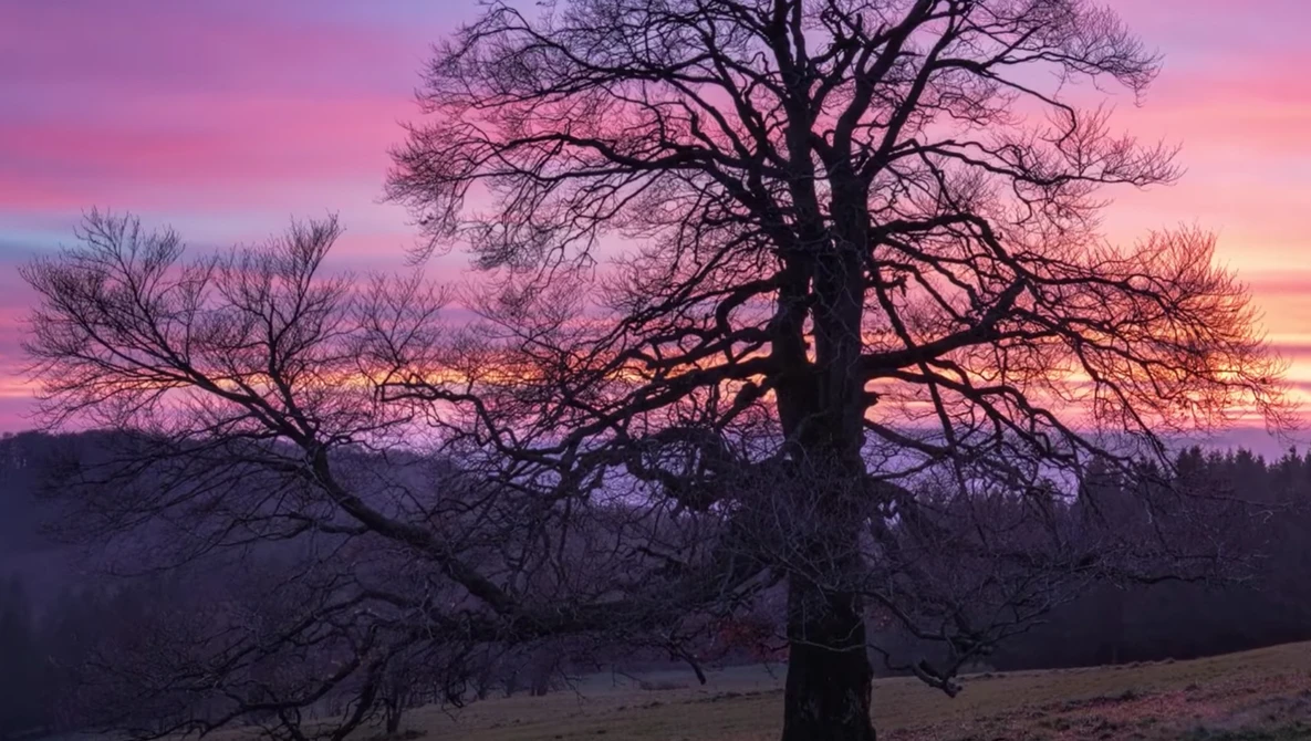 Watch What makes a great Landscape Photo on YouTube.