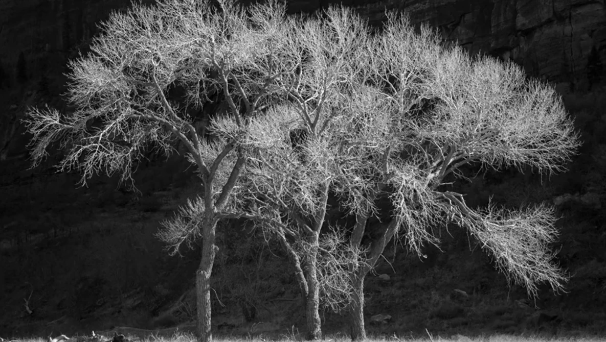 Watch The Essence of Landscape Photography on YouTube.