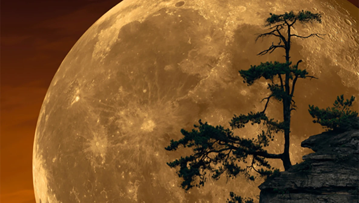 Peter Lik's 'Moonlit Dreams' Confirmed a Composite | Fstoppers