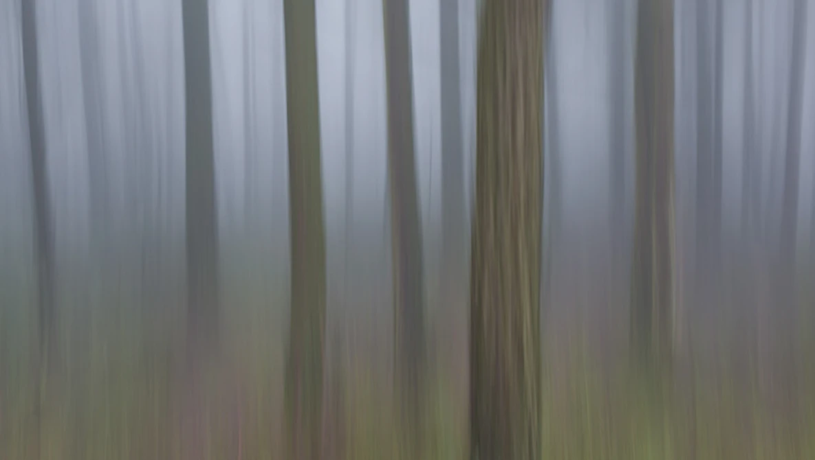 Watch Simple IDEAS for CREATIVE outdoor photography on YouTube.