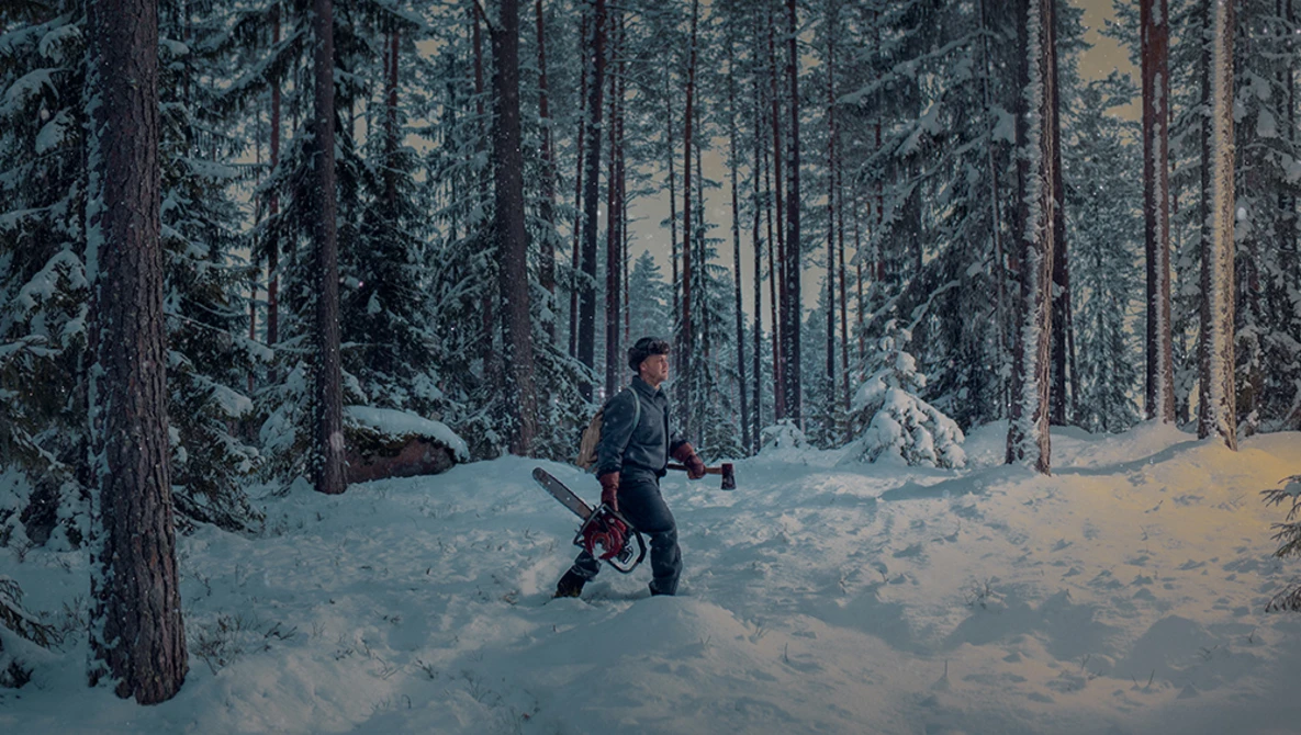 Watch The Forest of the Past | Vorna Visuals on YouTube.