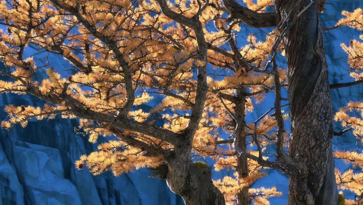Watch LANDSCAPE and LIGHT | Recognizing great photographic light on YouTube.
