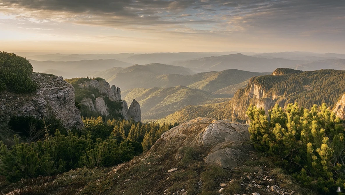 Watch 13 Ideas & Tips for Spring Landscape Photography on YouTube.