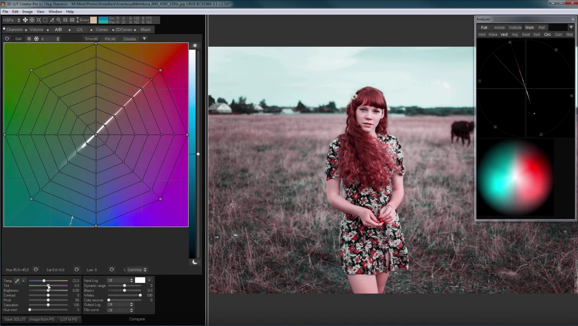 Watch Technicolor 2 Strip technique in 3D LUT Creator on YouTube.
