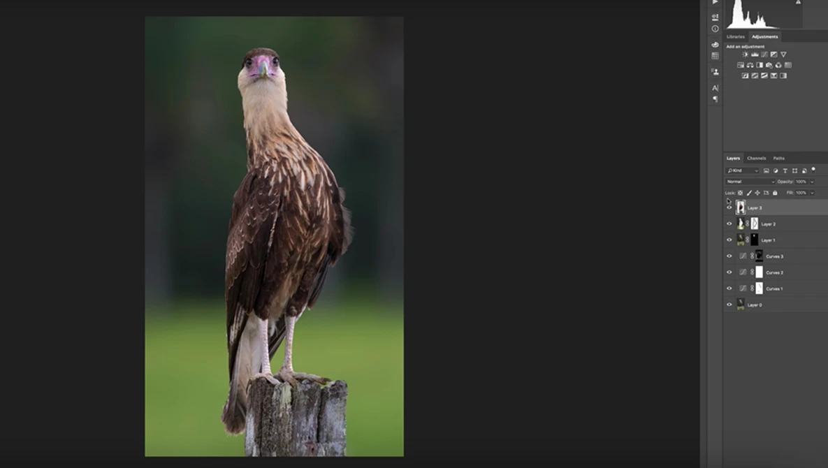 Watch Use Photoshop To Blur Out Backgrounds on YouTube.
