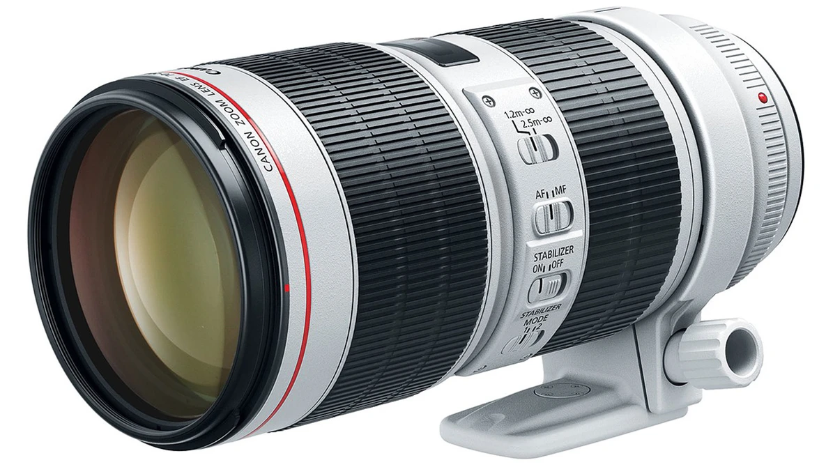 L*y様 実用動作品　Canon EF 70-200mm f/2.8L The Canon EF 70-200mm f/2.8L IS III: An Eight-Year-Old Lens With