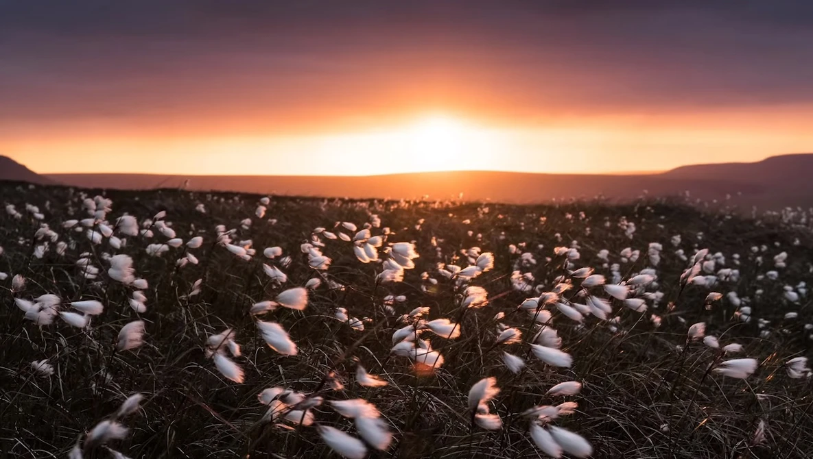 Watch SUNRISE and SUNSET Photography - Wild Camping at its Best on YouTube.