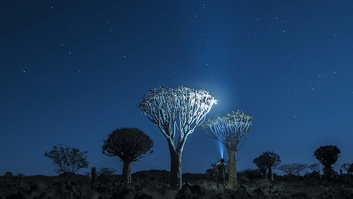 Watch IN THE STARLIGHT - Official Movie Trailer on Vimeo.