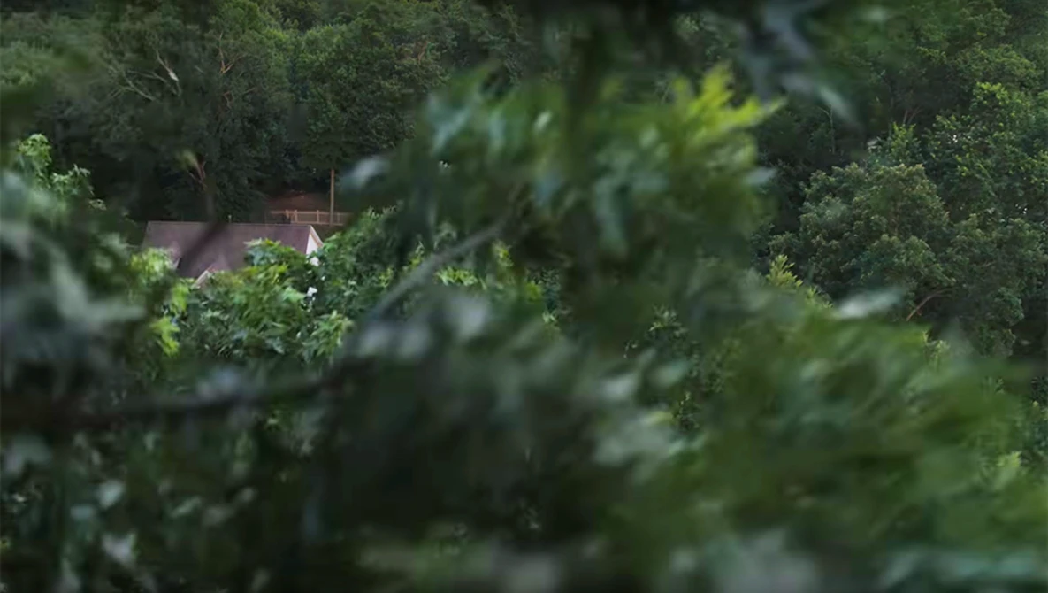 Watch DJI Inspire 2 Crash on YouTube.