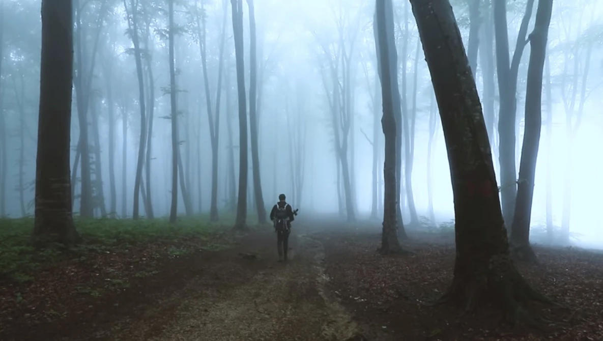 Watch 85mm Foggy Forest Challenge - Landscape Photography Tips on YouTube.