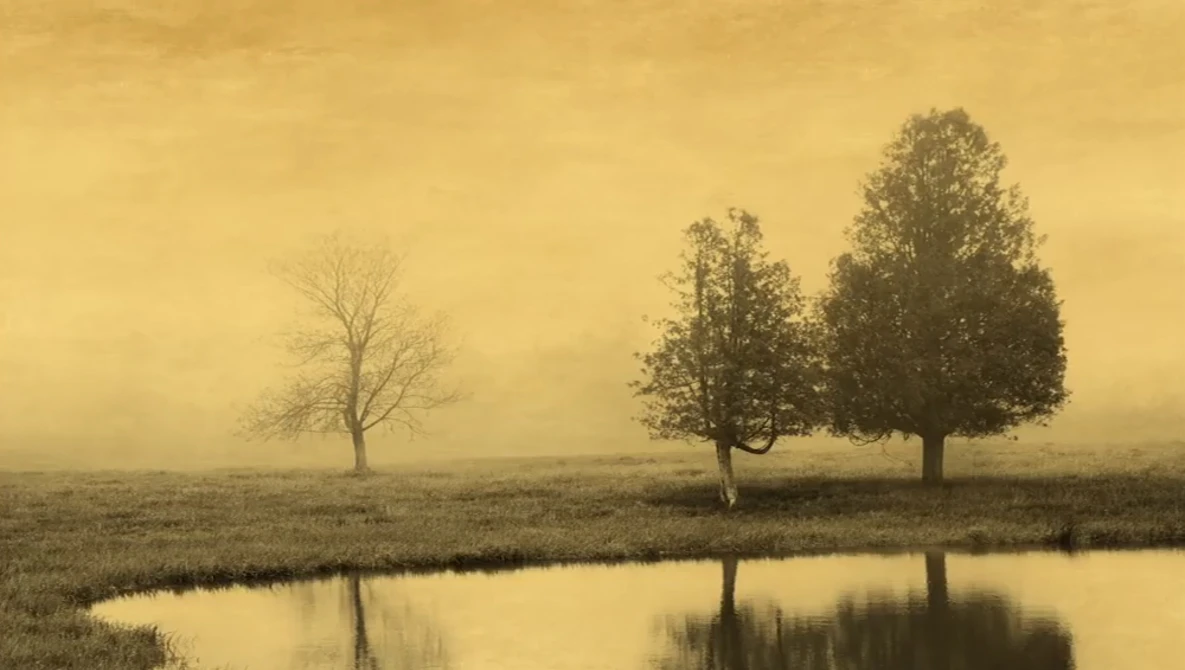 Watch B&H Photography Podcast | Legends – Keith Carter, Douglas Kirkland, and Joyce Tenneson on YouTube.