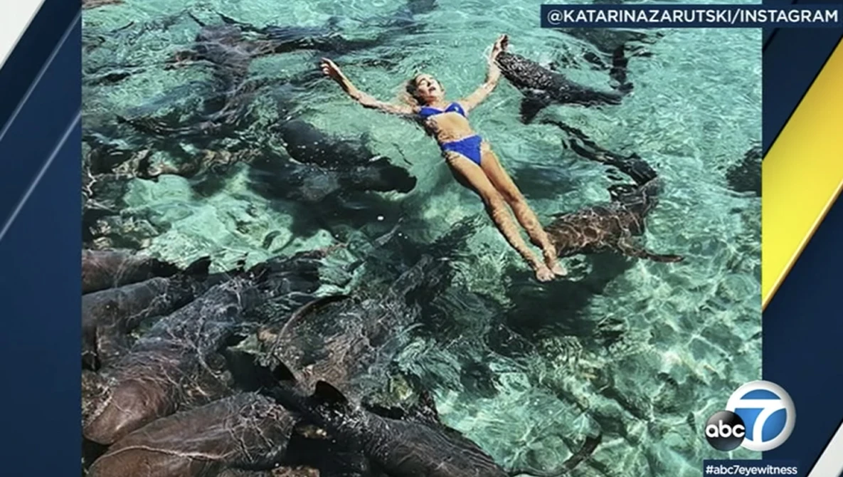Watch VIDEO: Instagram model bitten by a shark in the Bahamas | ABC7 on YouTube.