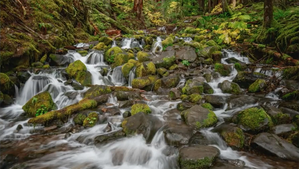 Watch How to Change Colors of a Landscape | CreativeLive on YouTube.