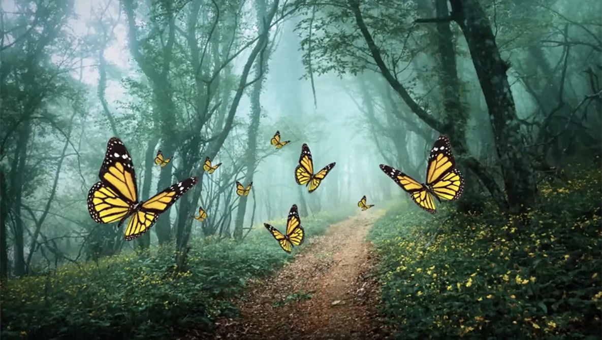Watch Photoshop SMART OBJECTS explained using 7 HOT TIPS on YouTube.