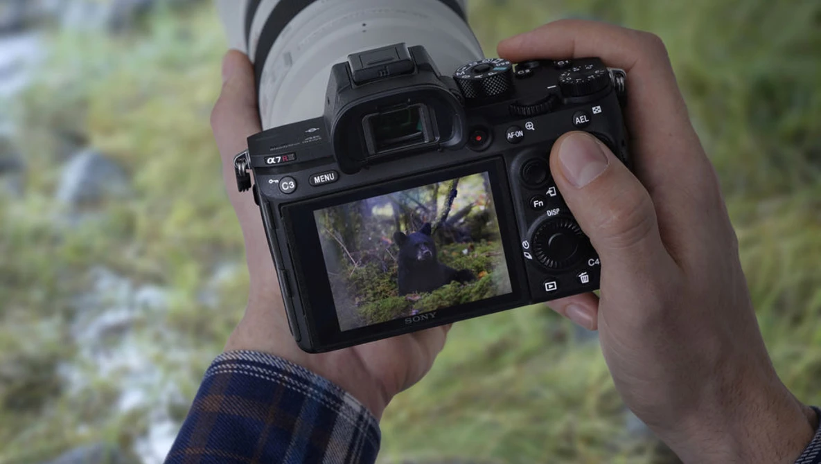 Watch MIRRORLESS WARS: Life & death for camera makers on YouTube.