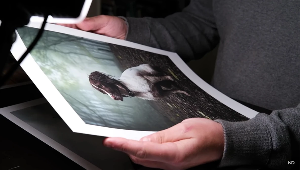 Watch CAMERA to PRINT | A Simple Colour Management Tutorial on YouTube.