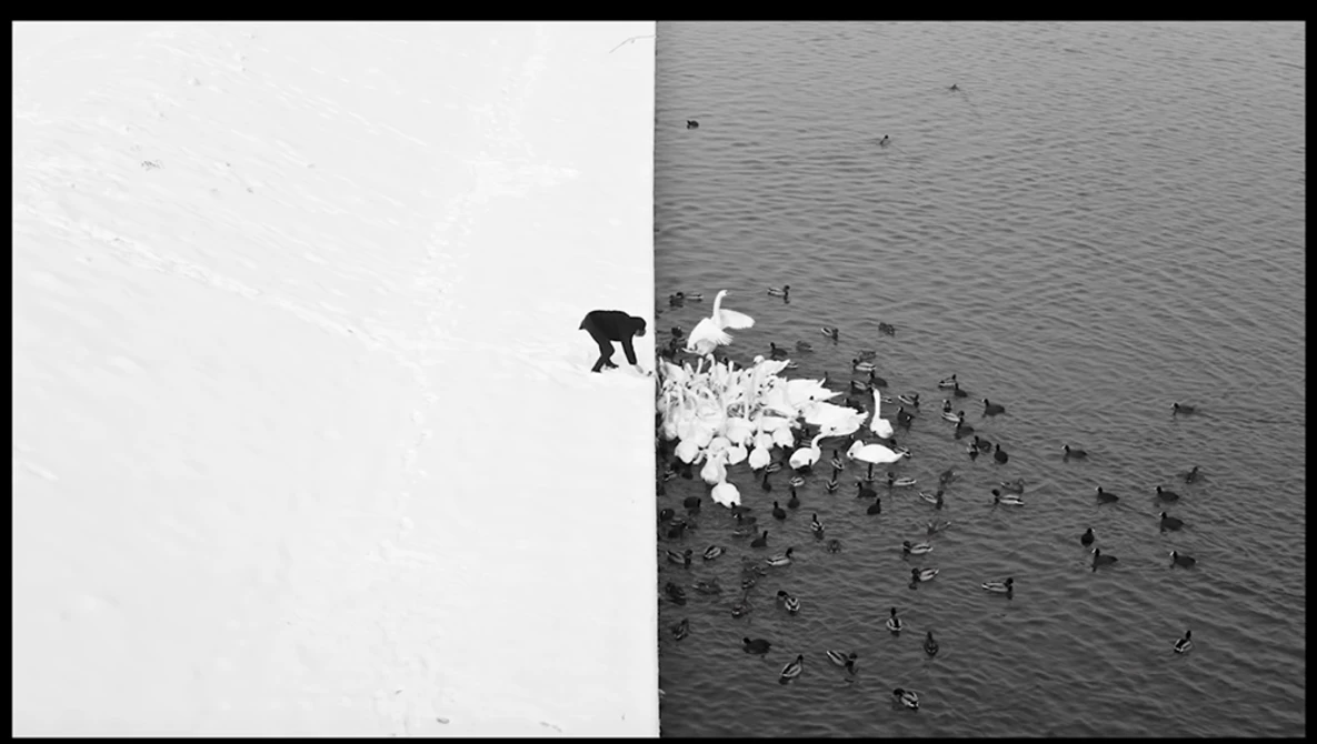 Watch 9 quick tips for BETTER BLACK & WHITE photos on YouTube.
