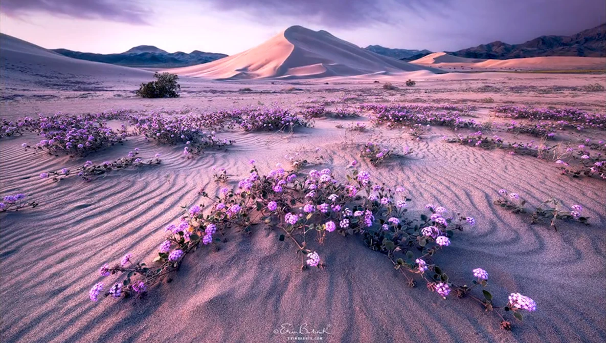 Watch The Photographer's Roundtable - Landscape on YouTube.