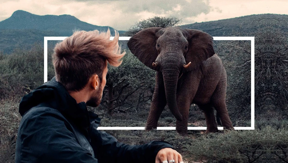 Watch KOLD - The War against Poaching. on YouTube.