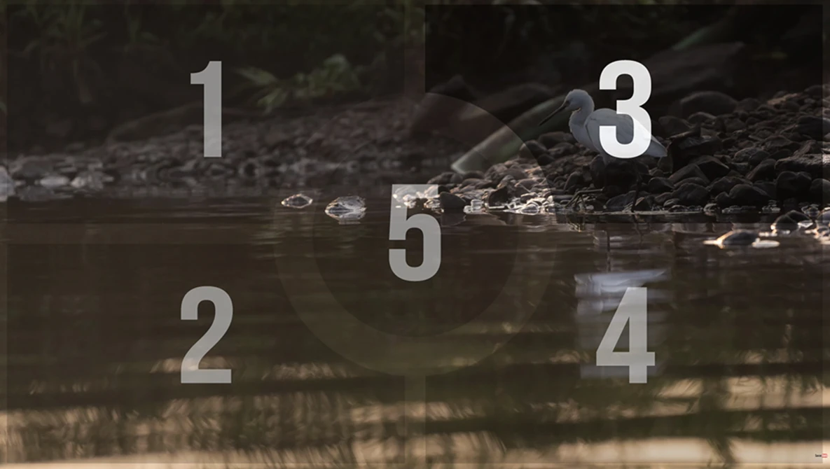 Watch Metering Modes Explained! Why does it MATTER? on YouTube.