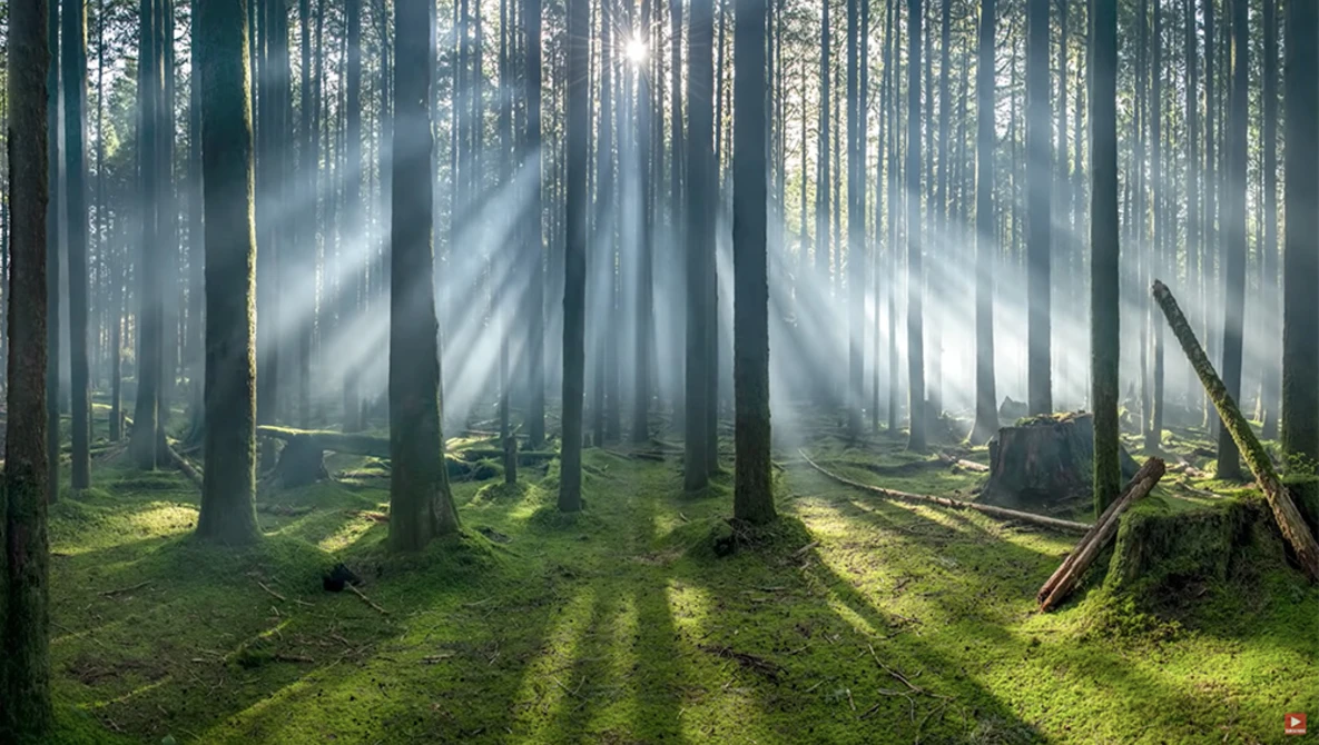 Watch Fog Machine Landscape Photography (We won an award for this!) - Smoke Machine on YouTube.