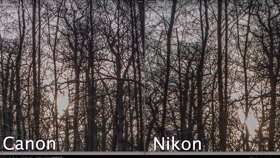 Watch Will the Nikon D850 be my Next Camera? on YouTube.