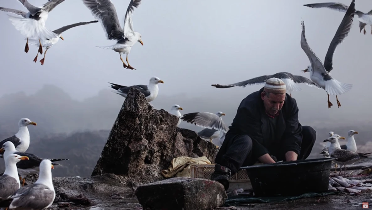 Watch 7 Unusual Travel Photography Tips (GAME-CHANGING) on YouTube.