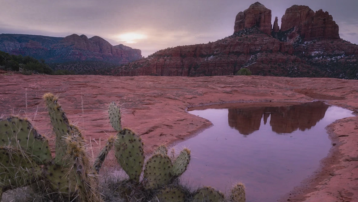 Watch Use Foreground To IMPROVE Composition on YouTube.