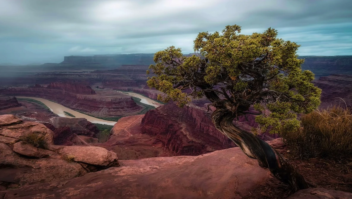 Watch 5 BEGINNER Landscape Photography MISTAKES To AVOID on YouTube.
