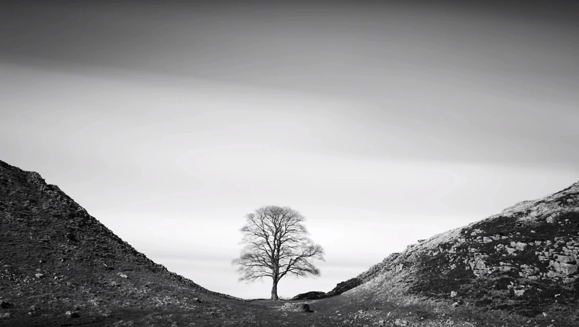 Watch Is there Deception in Landscape Photography? on YouTube.