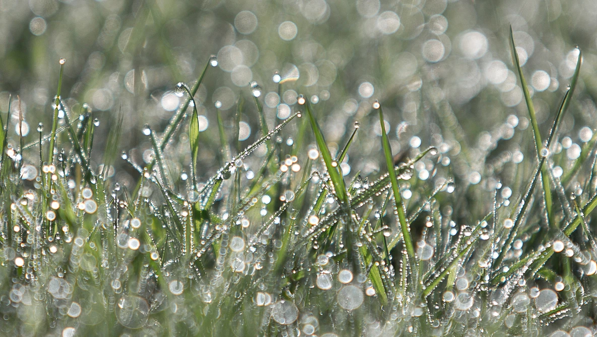Watch 7 PHOTO IDEAS to IMPROVE your SPRING photography on YouTube.