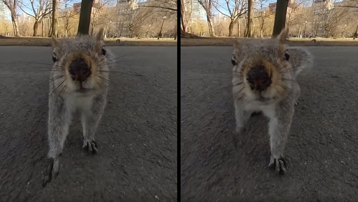 Watch Kandao Cameras Use AI to Turn Normal Video into 240fps Super Slow Motion on YouTube.