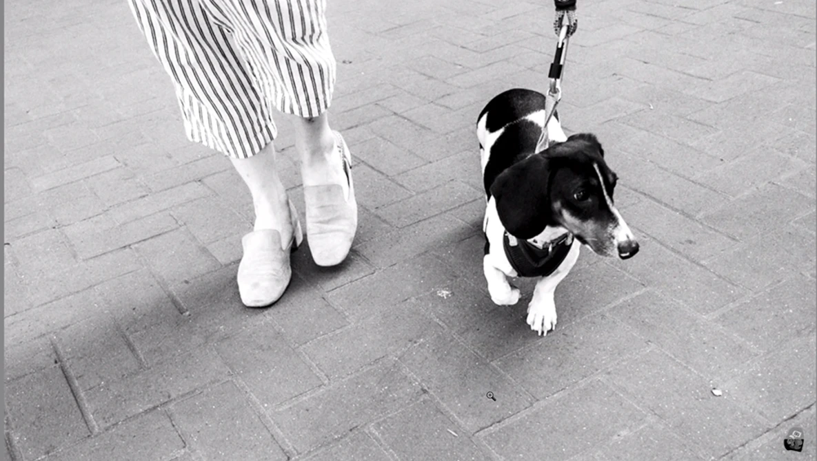 Watch How I decide if a photo should be color or black and white on YouTube.